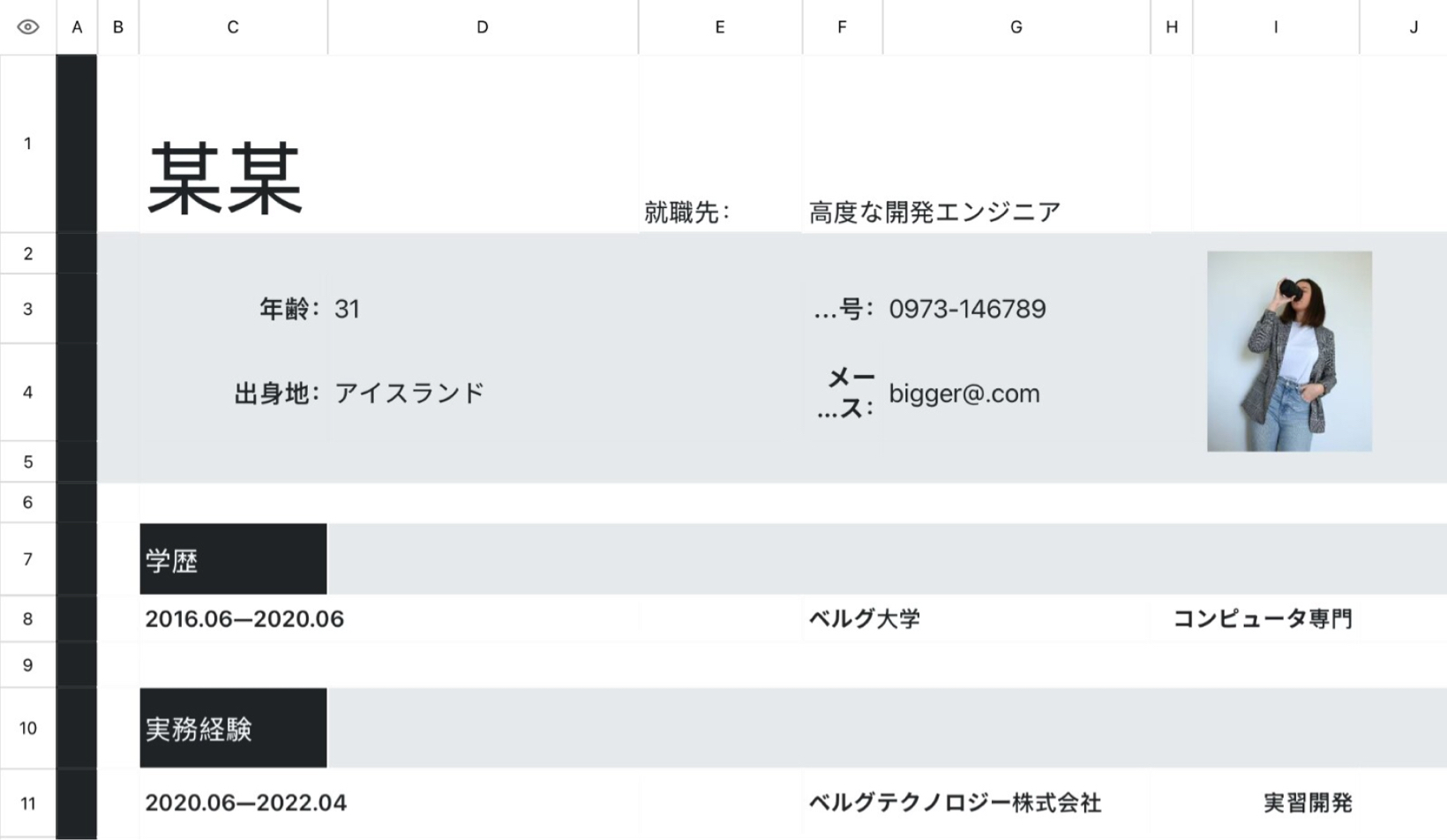 プログラマー履歴書