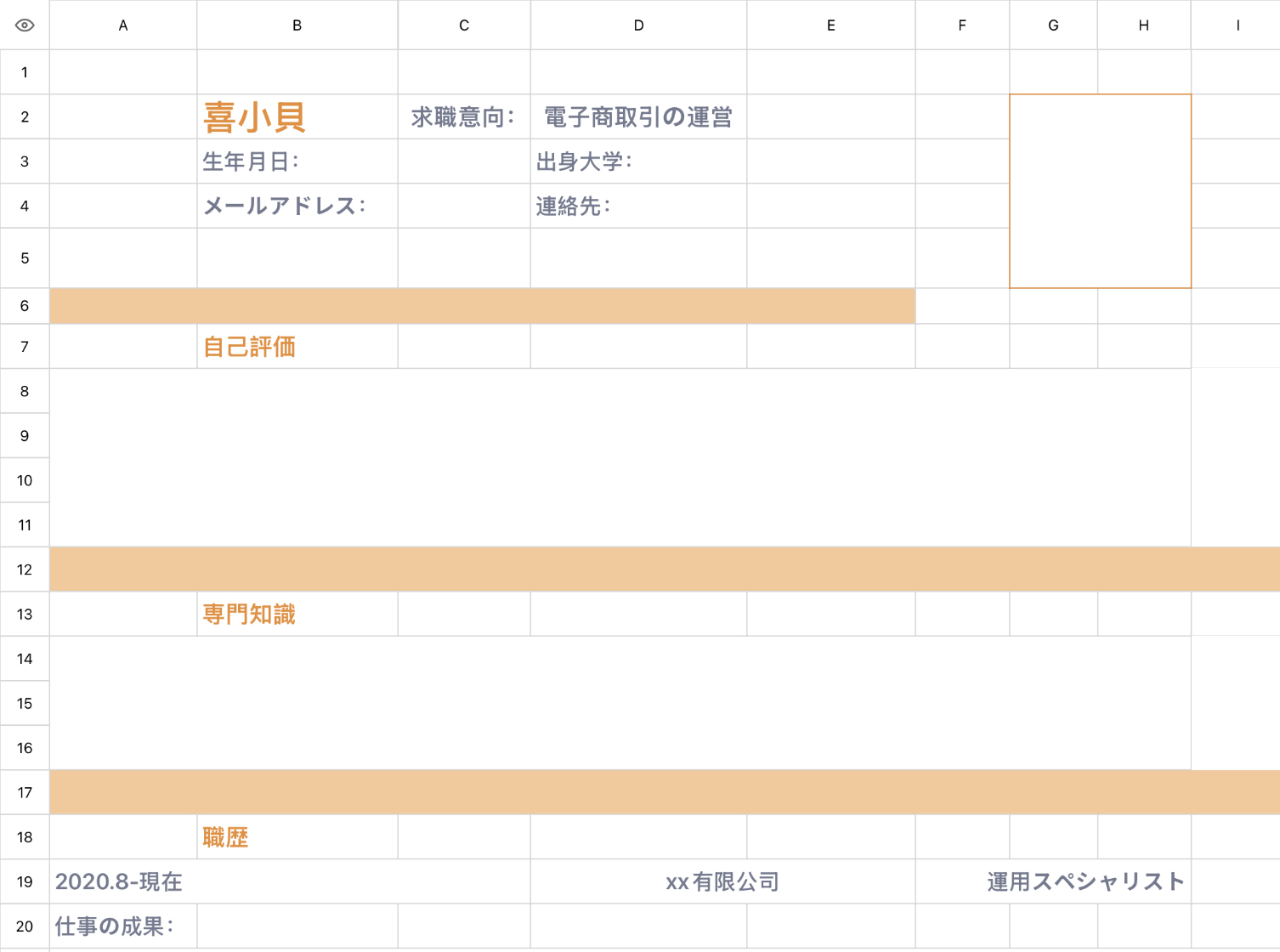 運営スペシャリスト履歴書