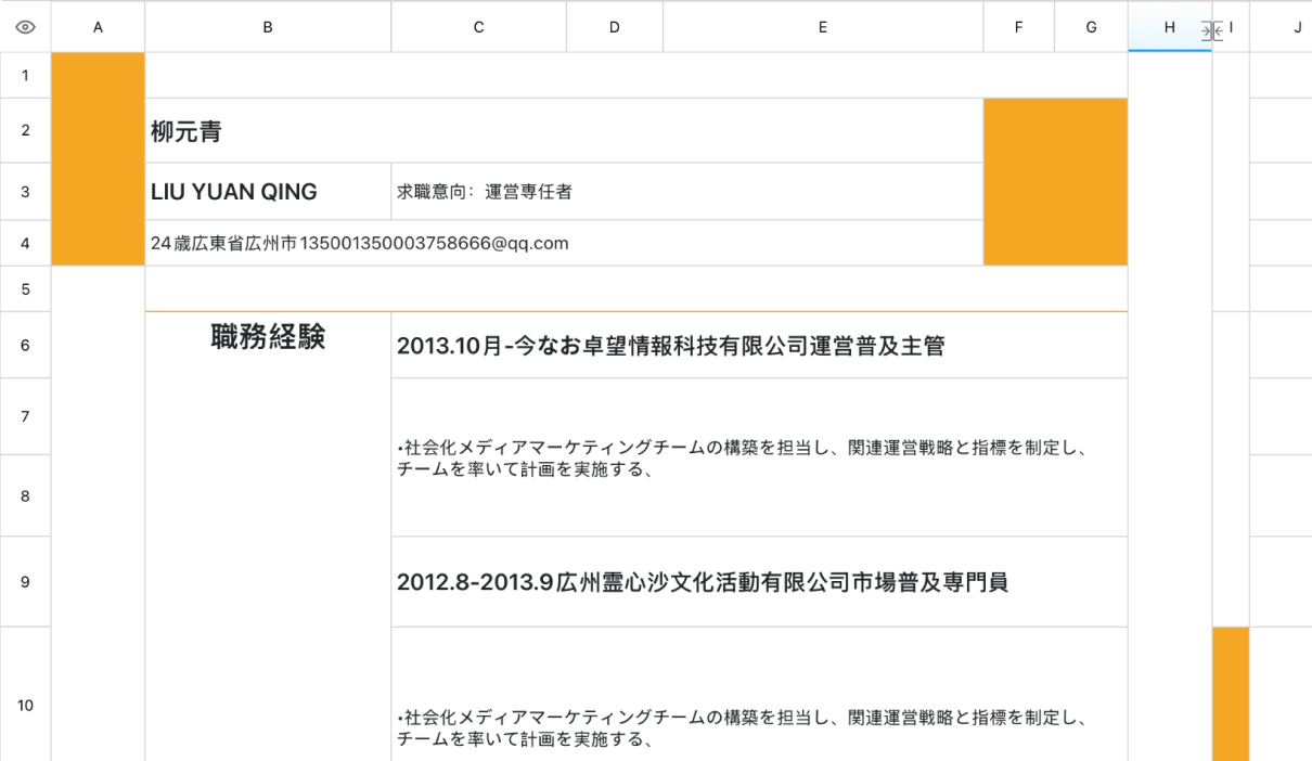運営者共通履歴書